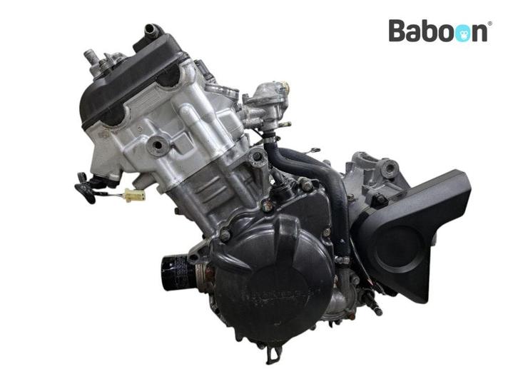 Motorblok Honda CBR 900 RR Fireblade 2000-2001 (CBR900RR, Motoren, Onderdelen | Honda, Gebruikt, Verzenden