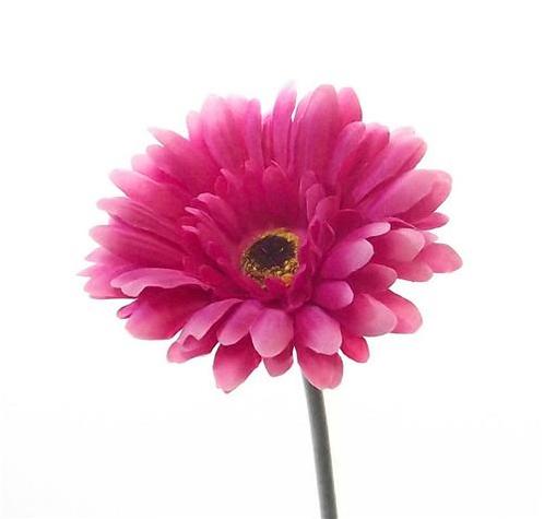 Gerbera 54 cm. FS Hot Pink Gerbera, Huis en Inrichting, Woonaccessoires | Kunstplanten en Kunstbloemen, Nieuw, Ophalen of Verzenden