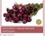 Helichrysum Dark Pink natural bundel. droogbloemen, Ophalen of Verzenden, Nieuw