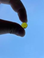 Amber - Barnsteen - Big Spider , Burmese Amber, Insect Amber