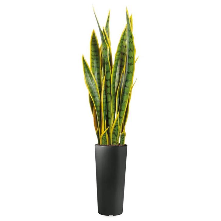 Sansevieria kunstplant, H115cm, Huis en Inrichting, Kamerplanten, Ophalen of Verzenden