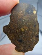 Meteoriet. Rumuruti R3-6. NWA 17584. - 5.5 g - (1), Verzamelen, Mineralen en Fossielen