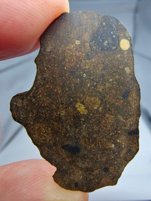 Meteoriet. Rumuruti R3-6. NWA 17584. - 5.5 g - (1), Verzamelen, Mineralen en Fossielen