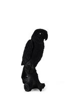 2dekans | Bold Monkey Papagaailamp - LED - Fluweel & PVC -, Ophalen of Verzenden, Nieuw