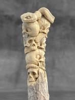 Snijwerk, NO RESERVE PRICE - Stunning Human Skulls & snake, Antiek en Kunst