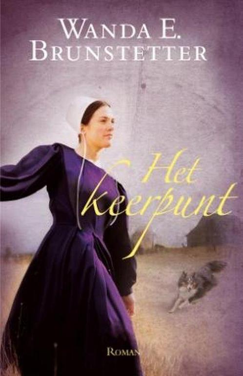 Het keerpunt 9789088650604 Wanda E. Brunstetter, Boeken, Romans, Zo goed als nieuw, Verzenden