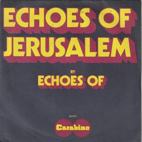 Echoes Of - Echoes Of Jerusalem + Take Your Time (Vinylsi..., Cd's en Dvd's, Vinyl Singles, Verzenden