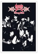 Posters - Poster Stray Kids - DominATE, Verzenden, Zo goed als nieuw