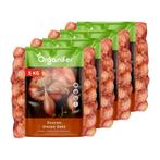 Plantuien Sturon 14/21 (20 kg) – Ideaal voor Vroege Oogst, Verzenden, Gehele jaar, Volle zon