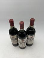 1982 Château Chasse Spleen - Médoc Cru - 3 Flessen (0.75, Verzamelen, Wijnen, Nieuw