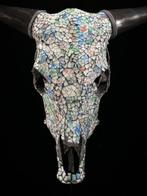 Geen veilingminimum - Indrukwekkende koeienschedel met