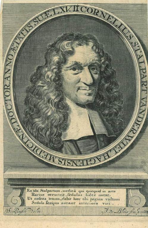 Portrait of Cornelis Stalpart van der Wiel, Antiek en Kunst, Kunst | Etsen en Gravures