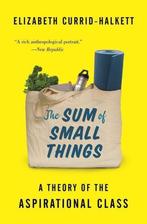 The Sum of Small Things 9780691183176, Verzenden, Gelezen, Elizabeth Currid-Halkett