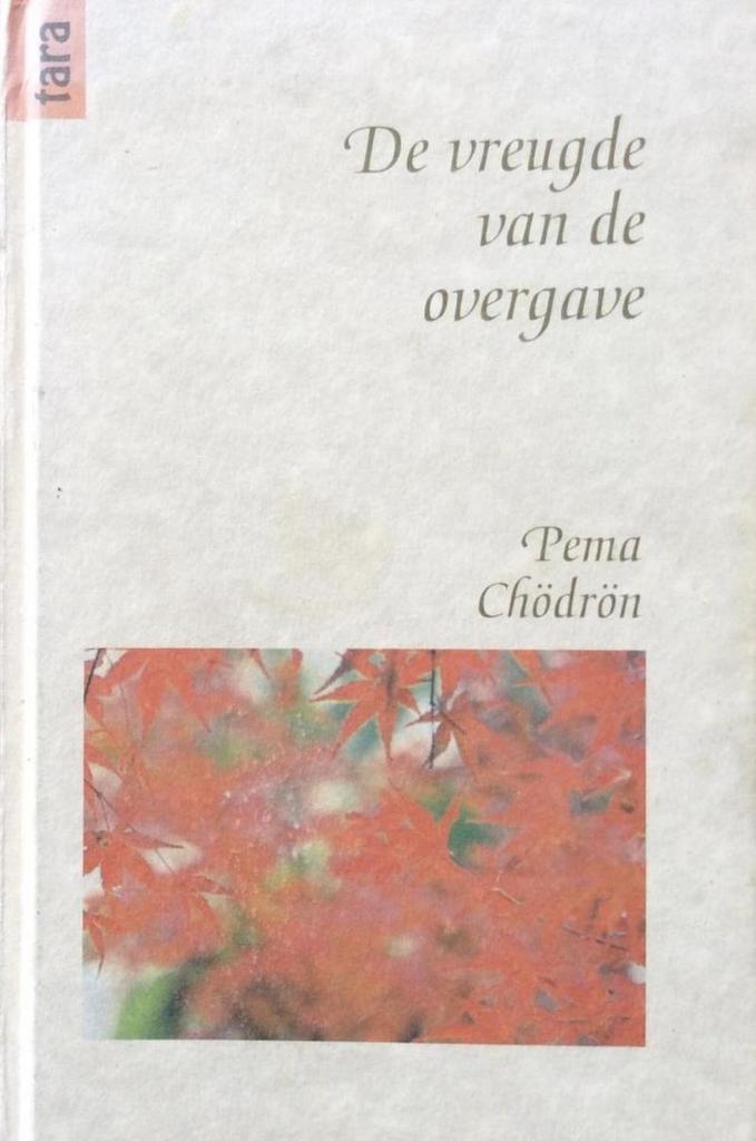 De vreugde van de overgave / Tara-reeks / dl. 6 Pema Chodron, Boeken, Godsdienst en Theologie, Gelezen, Verzenden