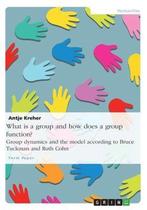 9783668380639 What Is a Group and How Does a Group Functi..., Boeken, Studieboeken en Cursussen, Verzenden, Nieuw, Antje Kreher