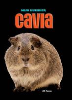 Cavia / Mijn Huisdier 9789055668748 Jill Foran, Verzenden, Zo goed als nieuw, Jill Foran