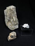 Lotto de wonderen van de Bolognese Kristalen- 1250 g - (3)