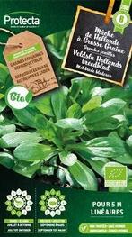 Protecta Groente zaden: Veldsla Hollands breedblad Bio, Tuin en Terras, Bloembollen en Zaden, Ophalen of Verzenden