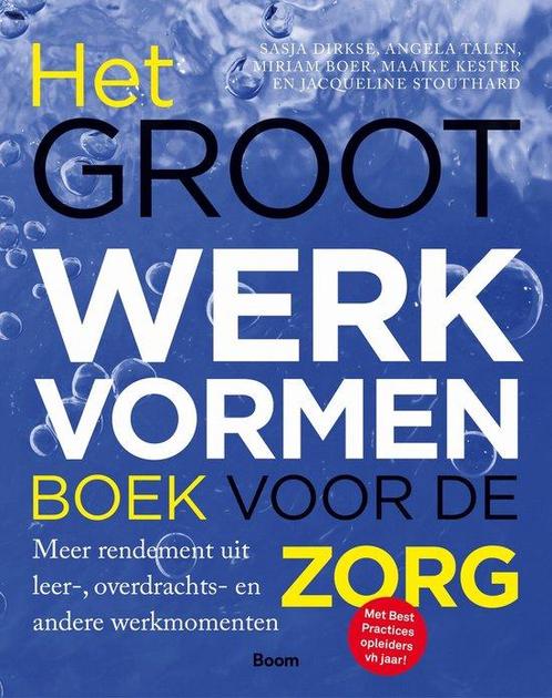 9789024427482 Het groot werkvormenboek voor de zorg, Boeken, Schoolboeken, Zo goed als nieuw, Verzenden