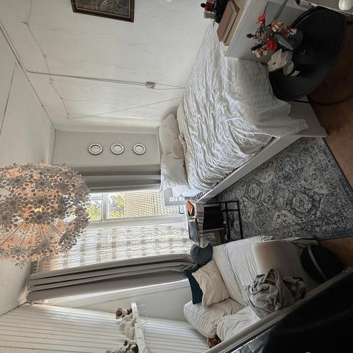 Gemeubileerde Kamer in Leiden gevonden in Leiden, Huizen en Kamers, Kamers te huur, 35 tot 50 m², Leiden
