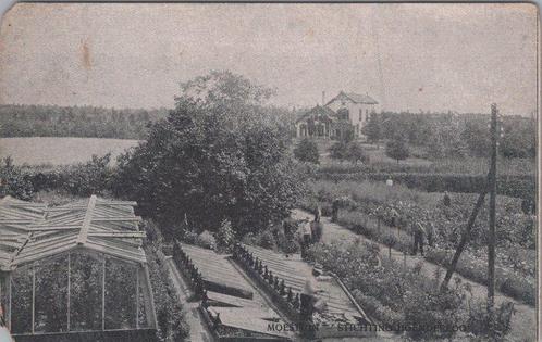HOENDERLOO - Moestuin - Stichting Hoenderloo, Verzamelen, Ansichtkaarten | Nederland, Verzenden