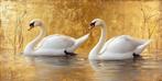 Iconica - Swans Dance · XXL