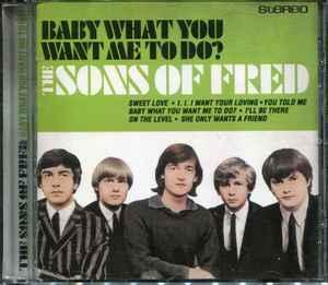 cd - The Sons Of Fred - Baby What You Want Me To Do?, Cd's en Dvd's, Cd's | Rock, Verzenden