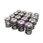 Skunk2 Alpha Series Honda/Acura K Series Valve Spring and, Ophalen of Verzenden, Nieuw