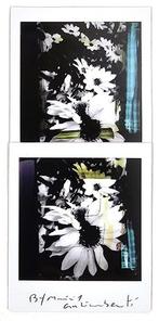 Maurizio Galimberti (1956–) - BiFlowers - 11173