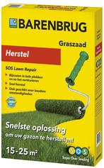 Barenbrug Herstel Rapide 500 gr (15-25 m²), Verzenden