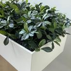 Plantenbak met kunstplanten, (bxd) 180x45 cm, MDF-wit, Ophalen of Verzenden