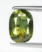 Zonder minimumprijs Saffier - 1.54 ct - Gem Report Antwerp, Nieuw
