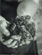 Ingerdienten voor Succes 9789082452310, Verzenden, Gelezen