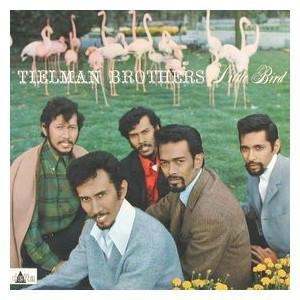 LP gebruikt - Tielman Brothers - Little Bird, Cd's en Dvd's, Vinyl | Rock, Zo goed als nieuw, Verzenden