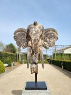 sculptuur, Elephant head - 65 cm - Hout