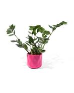 HEMA Bloempot Ø12x13cm keramiek roze van €8.59 voor €4 sale, Huis en Inrichting, Kamerplanten, Verzenden