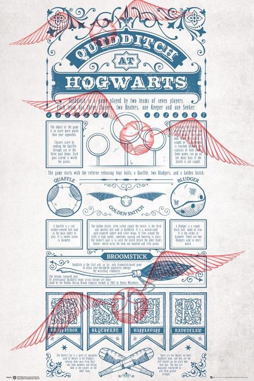Poster Harry Potter Quidditch at Hogwarts 61x91,5cm, Verzamelen, Posters, Nieuw, A1 t/m A3, Verzenden