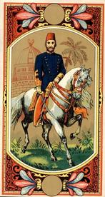 Sigaren en Tabak Etiketten - Sigarenbandje - Papier - (60), Antiek en Kunst