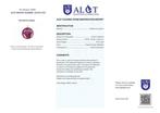 ALGT Gecertificeerd - Huge Natuurlijke Robijn Hanger -, Verzamelen