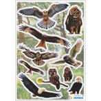 Vogel stickers - Roofvogels - Overig    - Kids Corner, Dieren en Toebehoren, Verzenden, Nieuw