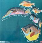 MJ Lenderman - Manning Fireworks (LP, Album), Ophalen of Verzenden, Nieuw in verpakking