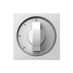 GIRA Systeem 55 Afdekking 3 standen schakelaar (ventilator), Doe-het-zelf en Verbouw, Elektra en Kabels, Ophalen of Verzenden