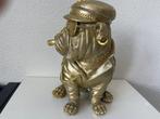 Beeld, Golden Buldog Bicker with Sigar - 31 cm -