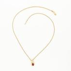 Ketting met hanger - 14 karaat Geel goud Robijn - Diamant
