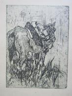 Giovanni Fattori (1825 - 1908 ) - CAVALLO, Antiek en Kunst