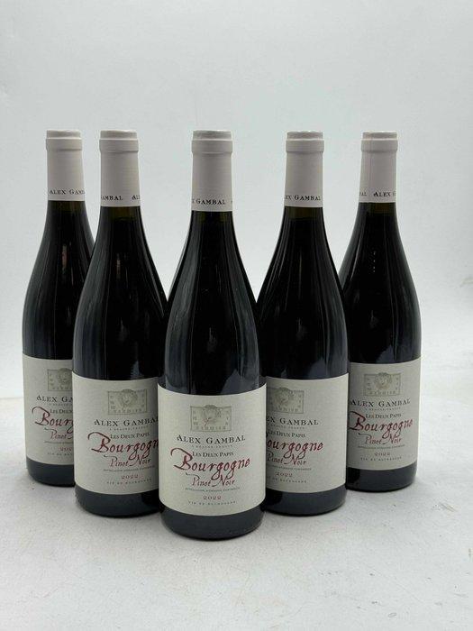 2022 Alex Gambal Bourgogne Pinot Noir Les Deux Papis -, Verzamelen, Wijnen
