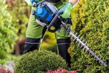 Tuinonderhoud in Zeeland, Zuid-Holland en west Brabant beschikbaar voor biedingen