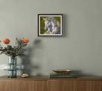 Cristian Mesa Velazquez - Silencio Majestuoso