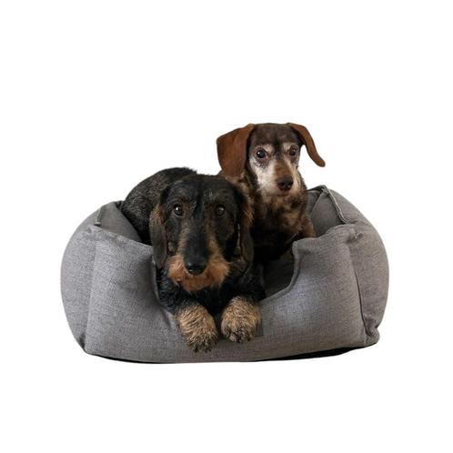 Dé webshop voor Teckelliefhebbers!, Dieren en Toebehoren, Honden-accessoires, Nieuw