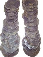 Capiz Camar schelpen Lila 500 gram, Ophalen of Verzenden, Nieuw